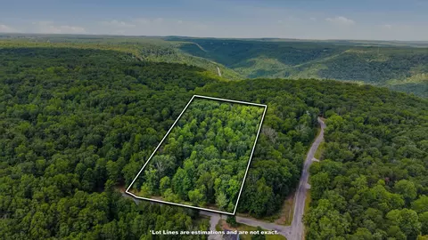 0 Eagle Crest Cir, Monteagle, TN 37356 photo 10
