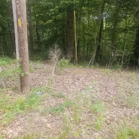 0 Scenic Dr, Dickson, TN 37055