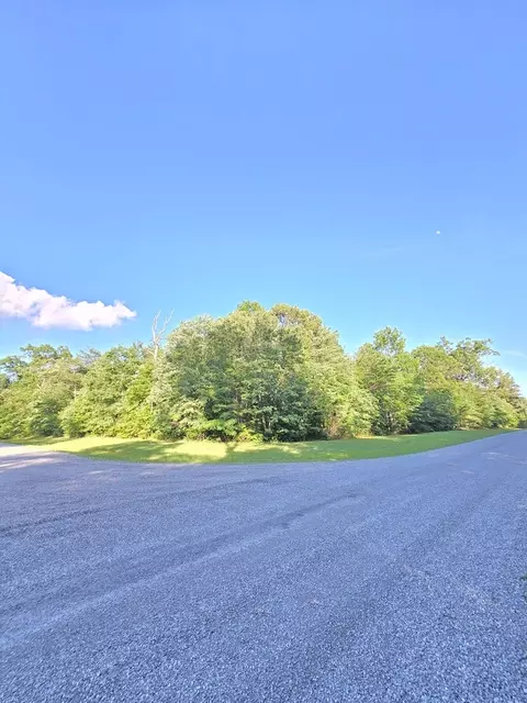 0 Laurel Loop N, Monterey, TN 38574 photo 4