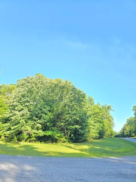 0 Laurel Loop N, Monterey, TN 38574 photo 3