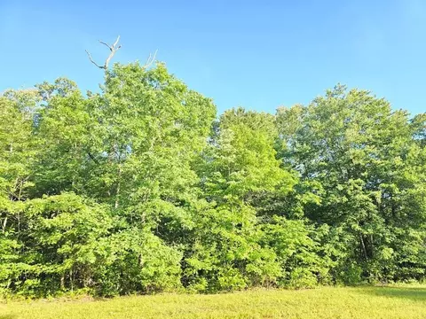 0 Laurel Loop N, Monterey, TN 38574 photo 2