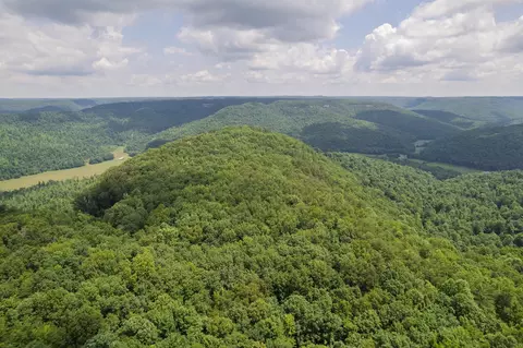 1313 Flat Rock Rd, Jamestown, TN 38556