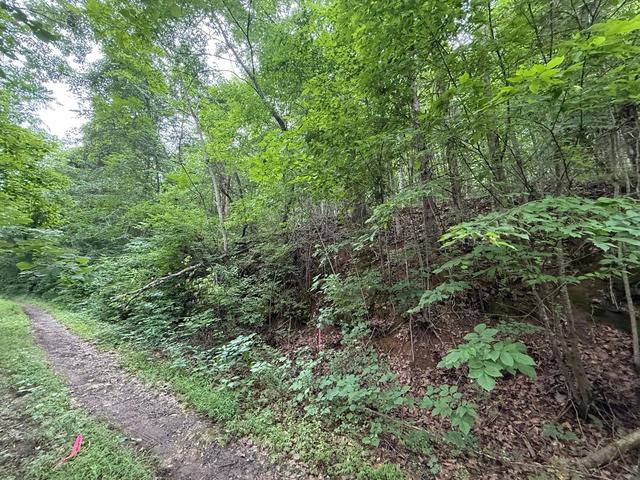 0 Fortunato Dr, Baneberry, TN 37890
