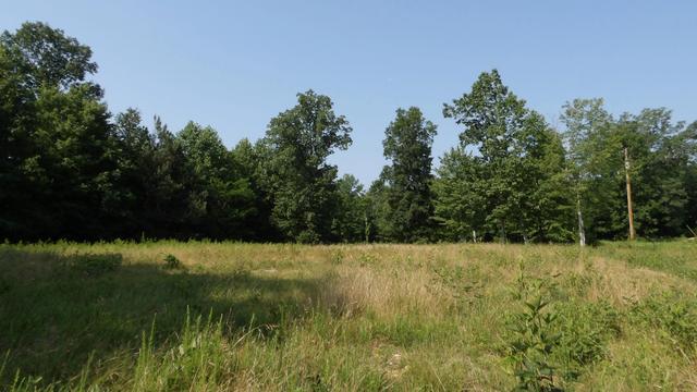 0 Pleasant Cemetery Ln, Gainesboro, TN 38562