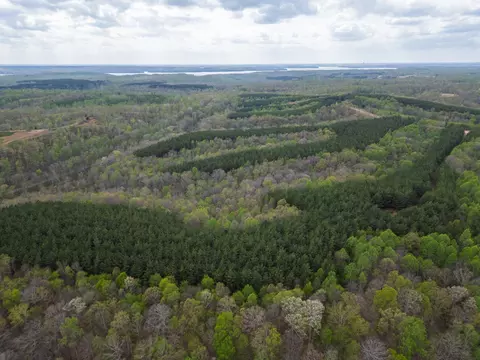 0 Rustic Pines Rd, Dover, TN 37058 photo 4