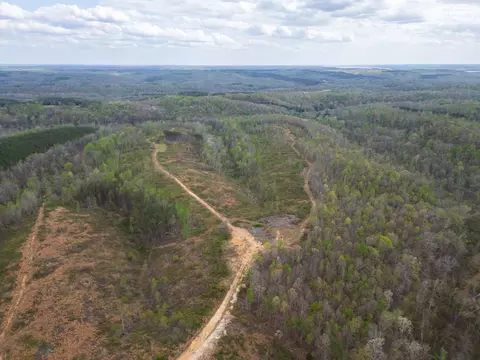 0 Rustic Pines Rd, Dover, TN 37058 photo 6