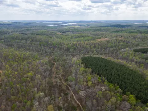 0 Rustic Pines Rd, Dover, TN 37058 photo 5