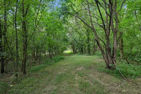 21 Vantrease Rd, Brush Creek, TN 38547 photo 88