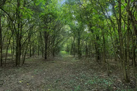 21 Vantrease Rd, Brush Creek, TN 38547 photo 87