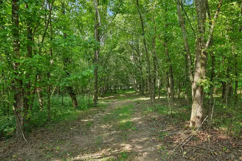 21 Vantrease Rd, Brush Creek, TN 38547 photo 9