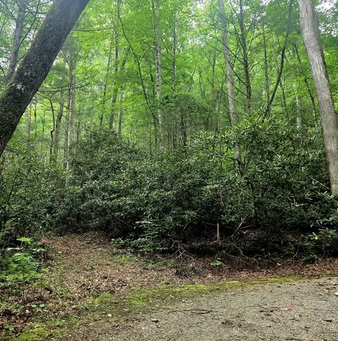 0 Holder Cemetery Rd, Tellico Plains, TN 37385