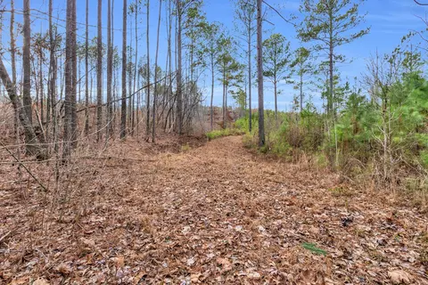 110 Quail Ln, Ocoee, TN 37361 photo 10