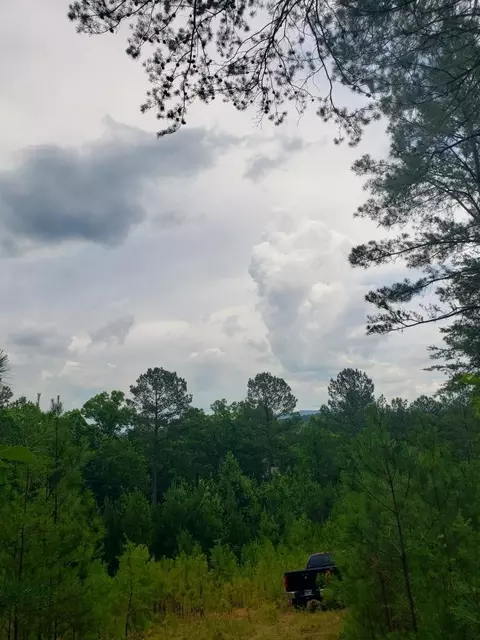 110 Quail Ln, Ocoee, TN 37361 photo 19