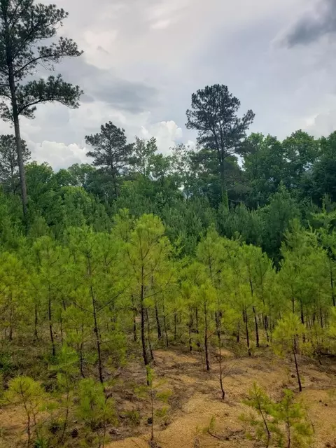 110 Quail Ln, Ocoee, TN 37361 photo 21