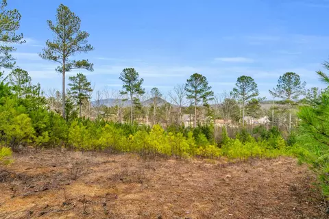 110 Quail Ln, Ocoee, TN 37361 photo 14