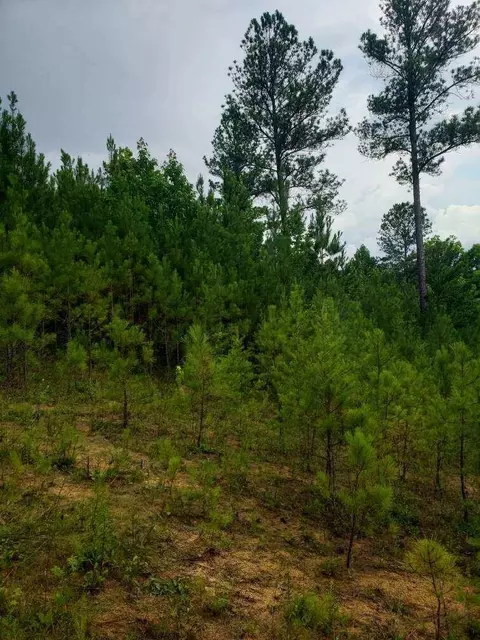 110 Quail Ln, Ocoee, TN 37361 photo 20