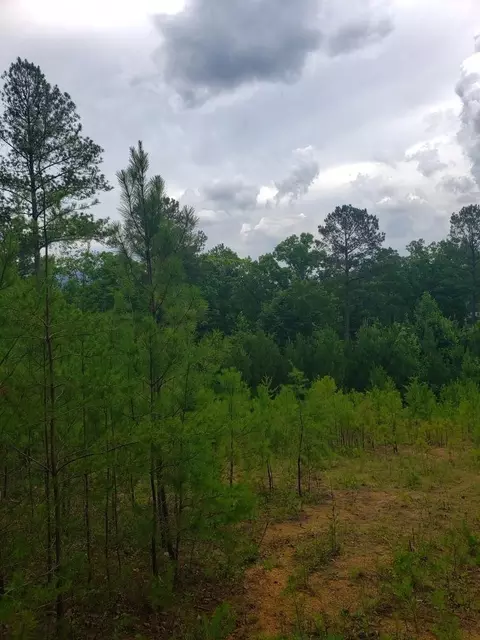 110 Quail Ln, Ocoee, TN 37361 photo 18