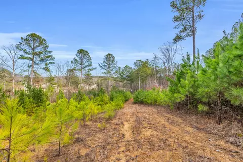 110 Quail Ln, Ocoee, TN 37361 photo 13
