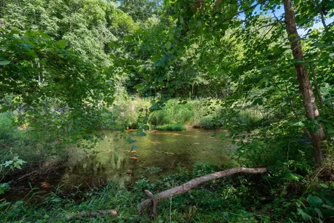 View/Area - 474 Duncan Rd, Centerville, TN 37033 photo 3 of 5