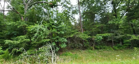 0 Sequatchie Mountain Rd, Sequatchie, TN 37374 photo 4