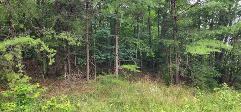 0 Sequatchie Mountain Rd, Sequatchie, TN 37374 photo 2