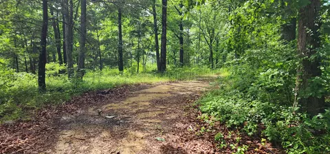 0 Eagle Point Dr, Monteagle, TN 37356 photo 12