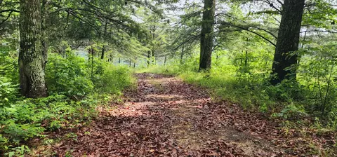 0 Eagle Point Dr, Monteagle, TN 37356 photo 11