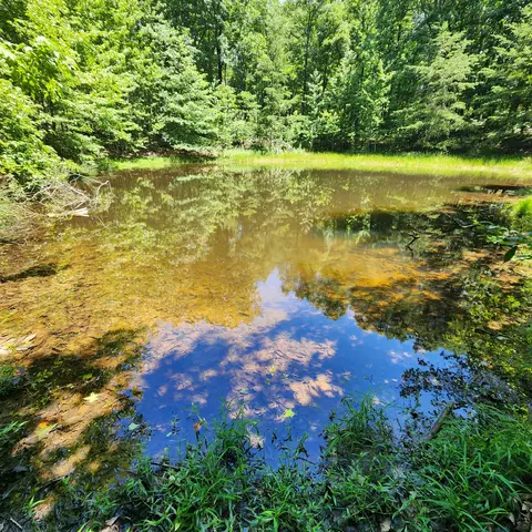 0 Eagle Point Dr, Monteagle, TN 37356 photo 21