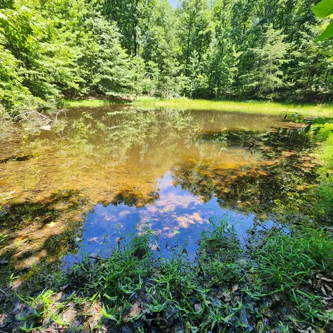 0 Eagle Point Dr, Monteagle, TN 37356 photo 19