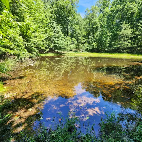 0 Eagle Point Dr, Monteagle, TN 37356 photo 18