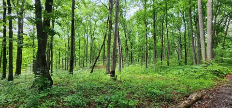 0 Eagle Point Dr, Monteagle, TN 37356 photo 16
