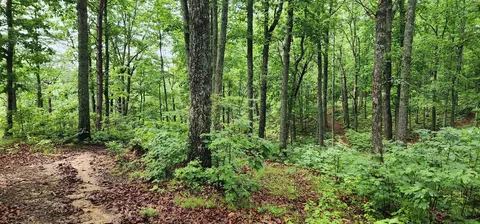 0 Eagle Point Dr, Monteagle, TN 37356 photo 10