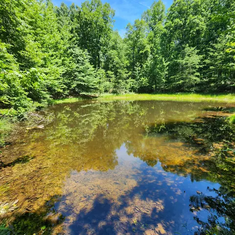 0 Eagle Point Dr, Monteagle, TN 37356 photo 20