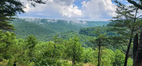 0 Eagle Point Dr, Monteagle, TN 37356 photo 7