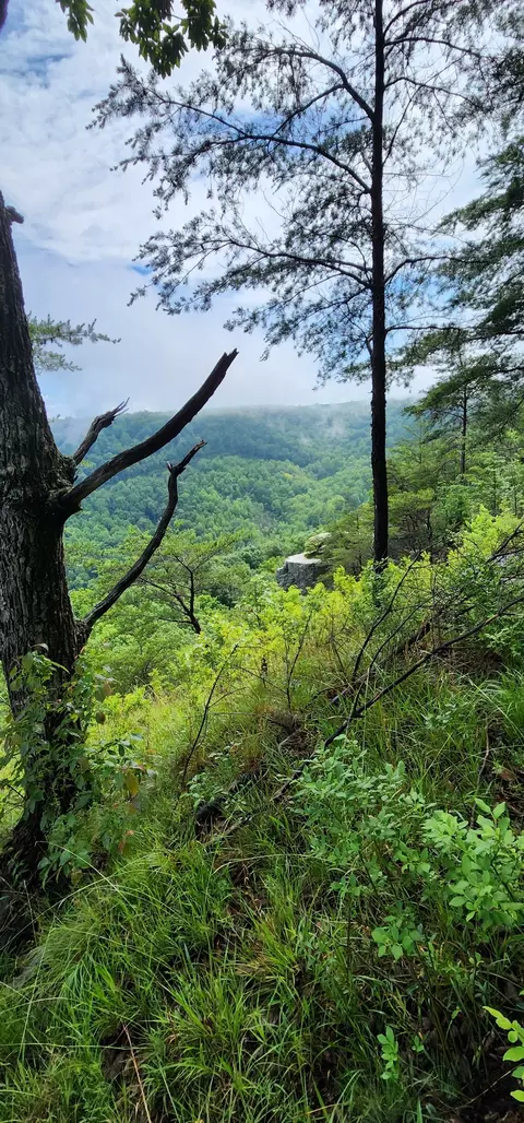 0 Eagle Point Dr, Monteagle, TN 37356 photo 3