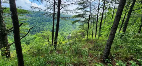 0 Eagle Point Dr, Monteagle, TN 37356 photo 2