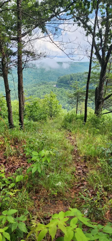 0 Eagle Point Dr, Monteagle, TN 37356 photo 6