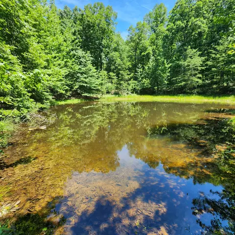 0 Eagle Point Dr, Monteagle, TN 37356 photo 8