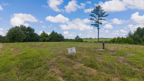 0 Bryon Ln, Dover, TN 37058 photo 2