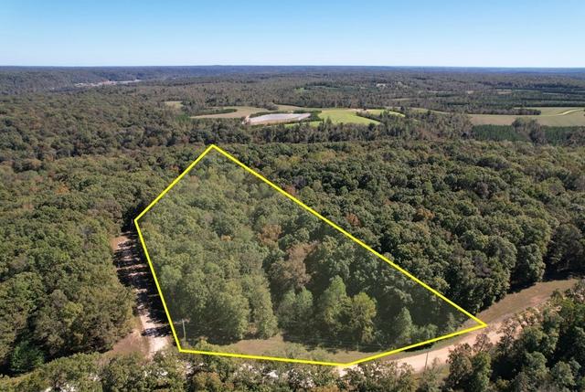 21 Three Rivers Dr, Hurricane Mills, TN 37078