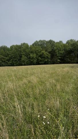 0 Riverview Rd, Mount Juliet, TN 37122