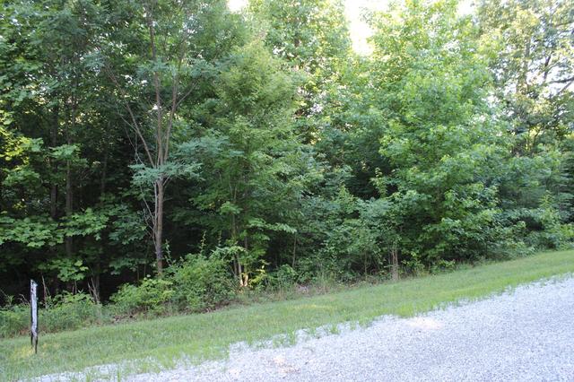 0 Bluff Line, Mcminnville, TN 37110