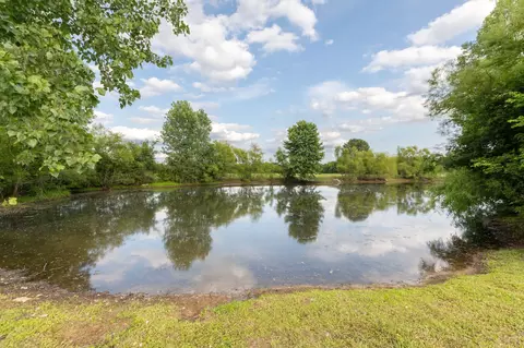 View/Area - 5303 Eagleville Pike, Eagleville, TN 37060 photo 3 of 6