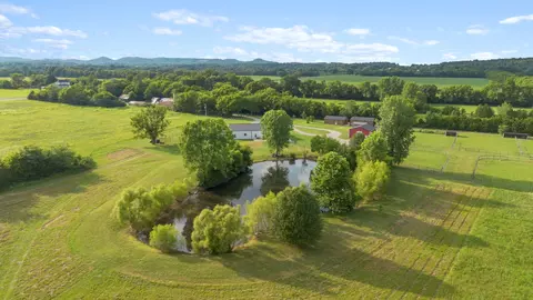 Other - 5303 Eagleville Pike, Eagleville, TN 37060 photo 36 of 43