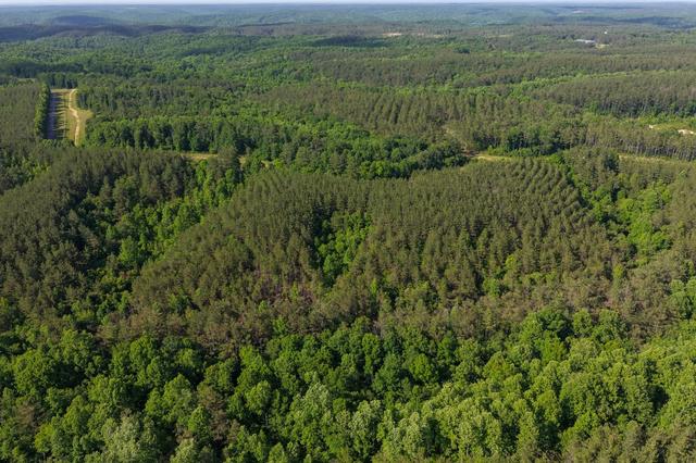 0 Darbytown Rd, Hohenwald, TN 38462