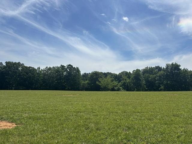 1 Somerville Rd, Cross Plains, TN 37049