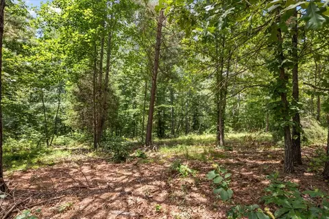 Exterior - 2035 Skyview Dr, Centerville, TN 37033 photo 17 of 25