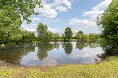 5303 Eagleville Pike, Eagleville, TN 37060 photo 60