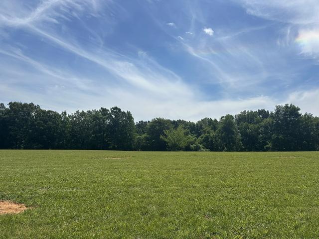 2 Somerville Rd, Cross Plains, TN 37049