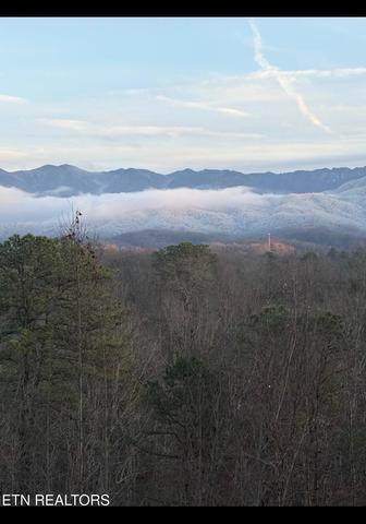 1 Vista Dr, Gatlinburg, TN 37738